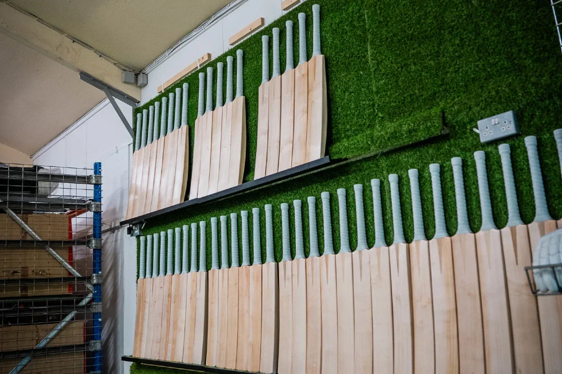 English Willow vs Kashmir Willow: What’s the Difference in Cricket Bats?