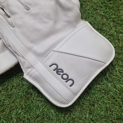 Pro Players Wicket Keeping Gloves
