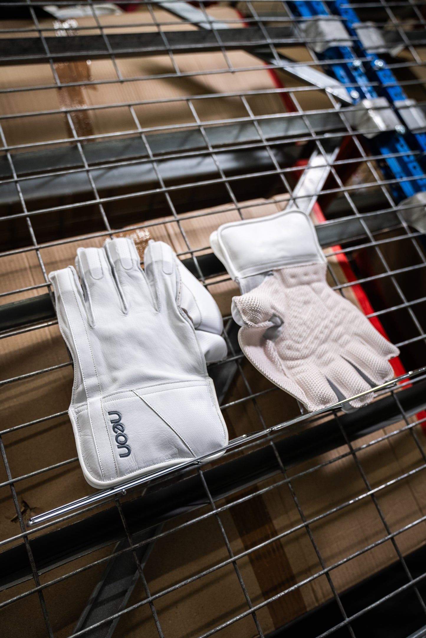 Pro Players Wicket Keeping Gloves